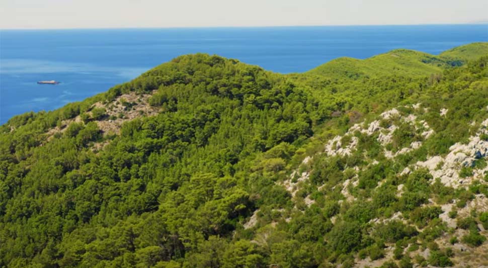 mljet-screenshot-youtube.jpg