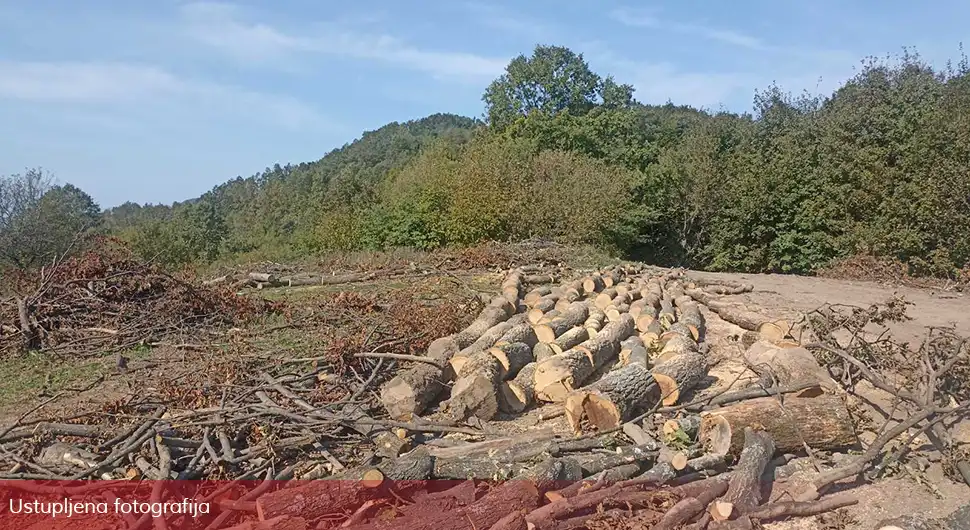 Sječom stabala šumari oštetili ŠG ”Jahorina” za 116.000 KM