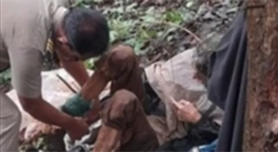Vezana lancem za drvo ostavljena da umre u džungli: Zapomaganje čuo pastir