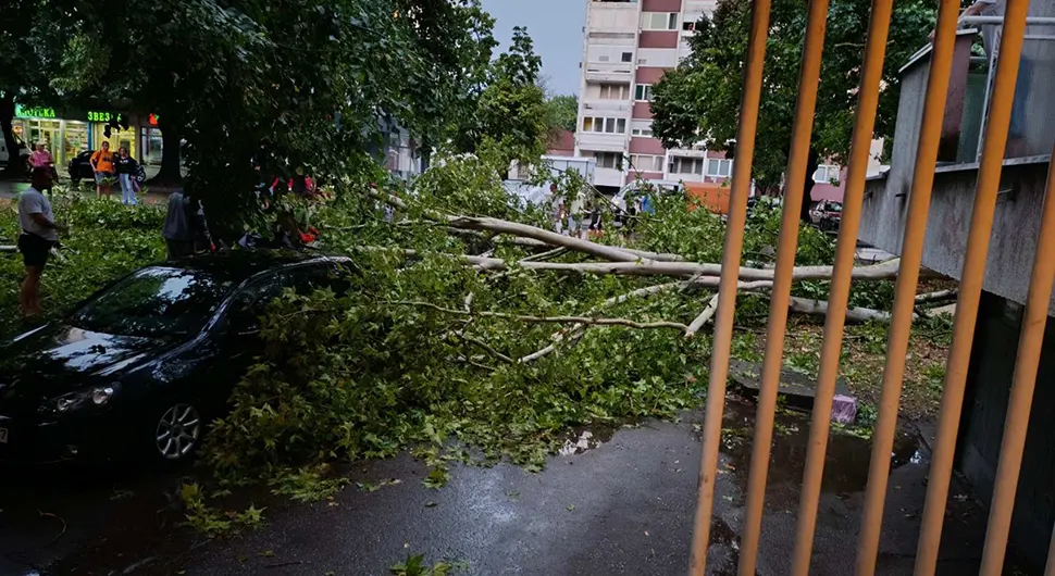 Doboj: Stabla padala na automobile