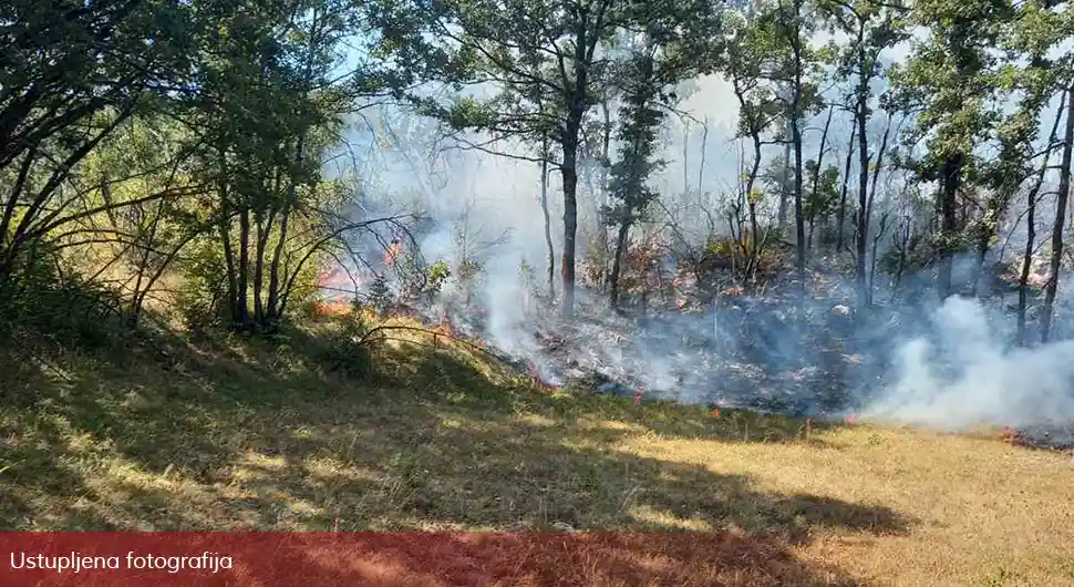 Požar u selima kod Bileće