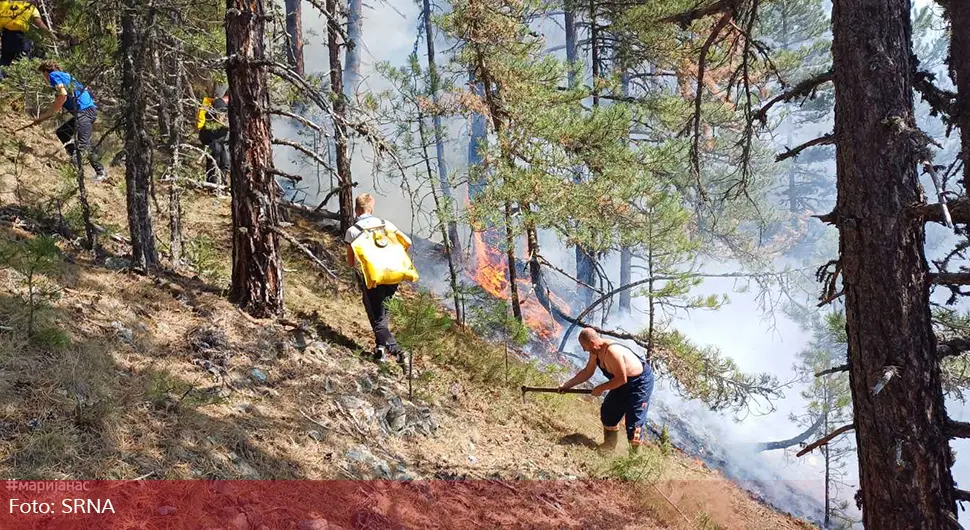 Rudo: Šumski požar gasi 200 ljudi