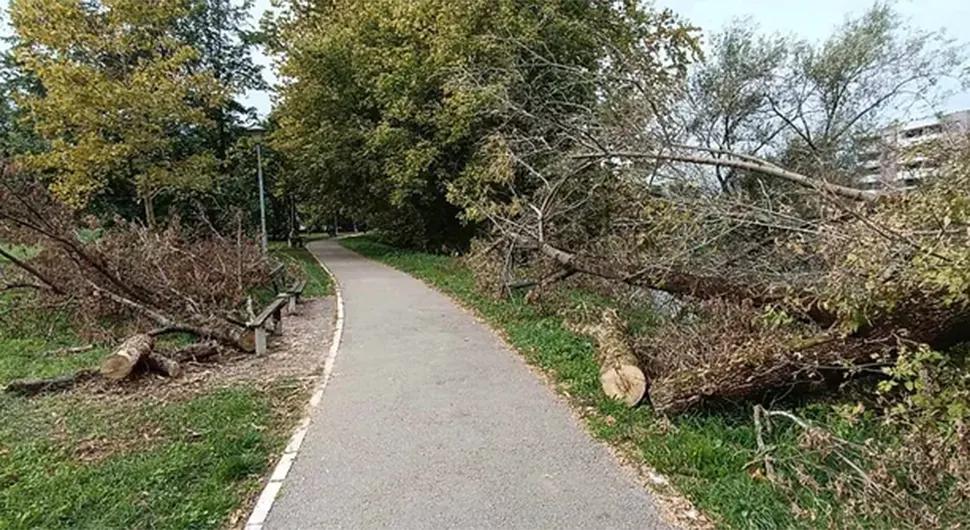 Porušena stabla niko ne sklanja danima