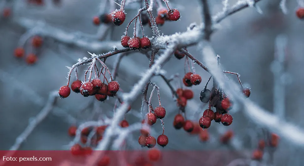 Zima se vraća na velika vrata: Jedan dan donosi temperaturu od -11 stepeni