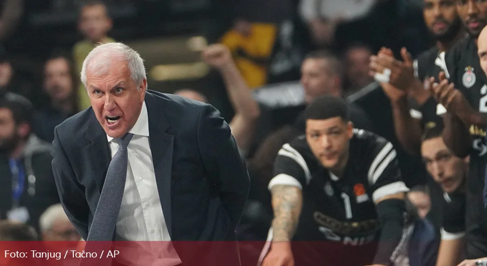 obradovic.webp