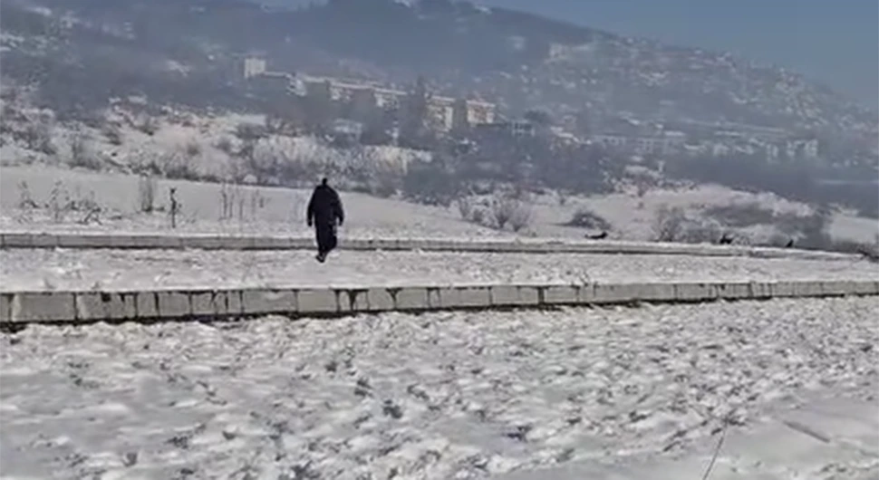 Uznemirujući video širi se BiH: Kangala pustio na psića, vlasnica snimila horor